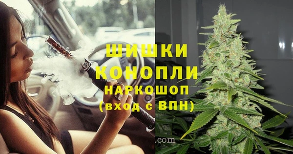 ешки Арсеньев