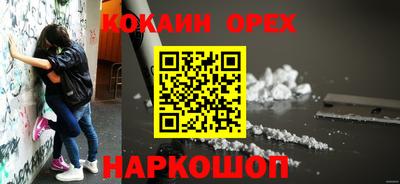 гашик Сланцы