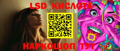 гашик Сланцы