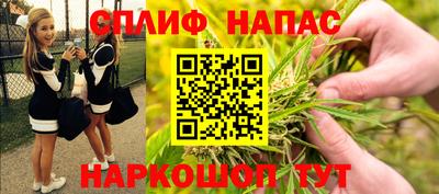 гашик Сланцы