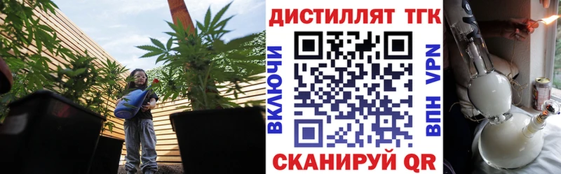 где купить наркоту  mega tor  ТГК концентрат  Строитель 
