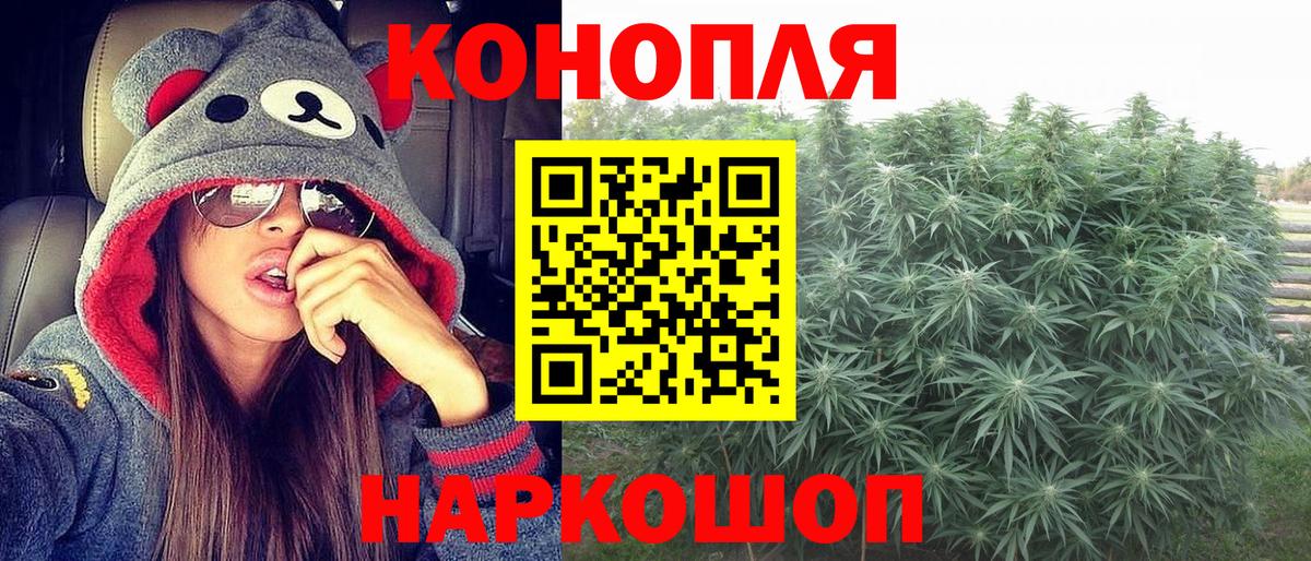Шишки марихуана тримм  Шишки марихуана планчик  Марихуана тримм  Строитель  МАРИХУАНА индика  Вход с VPN 